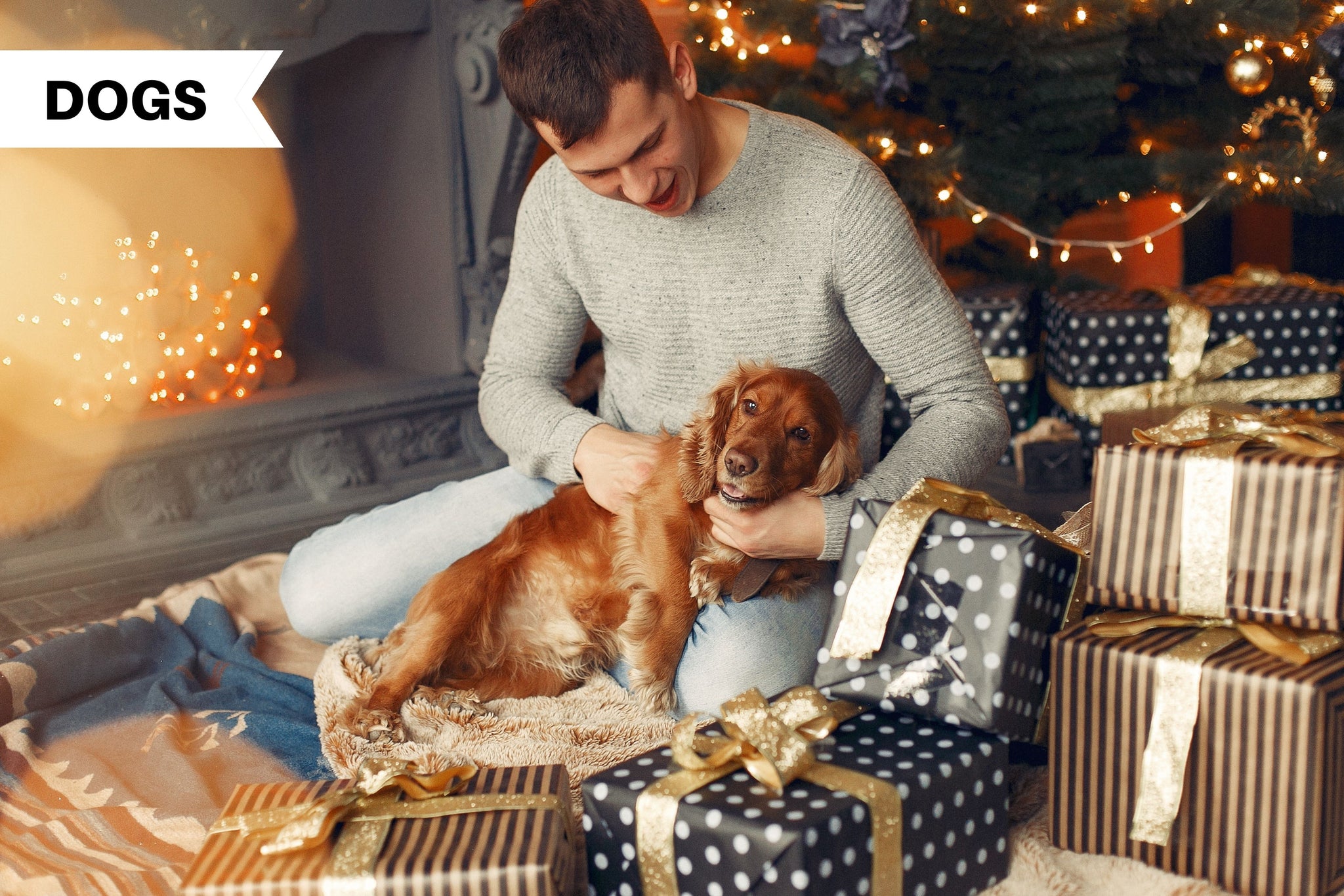 20 Best Gifts For Animal Lovers (That Give Back) 2023